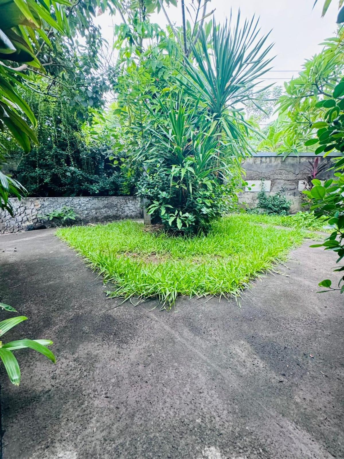 Putu Guest House Pemuteran Exterior photo