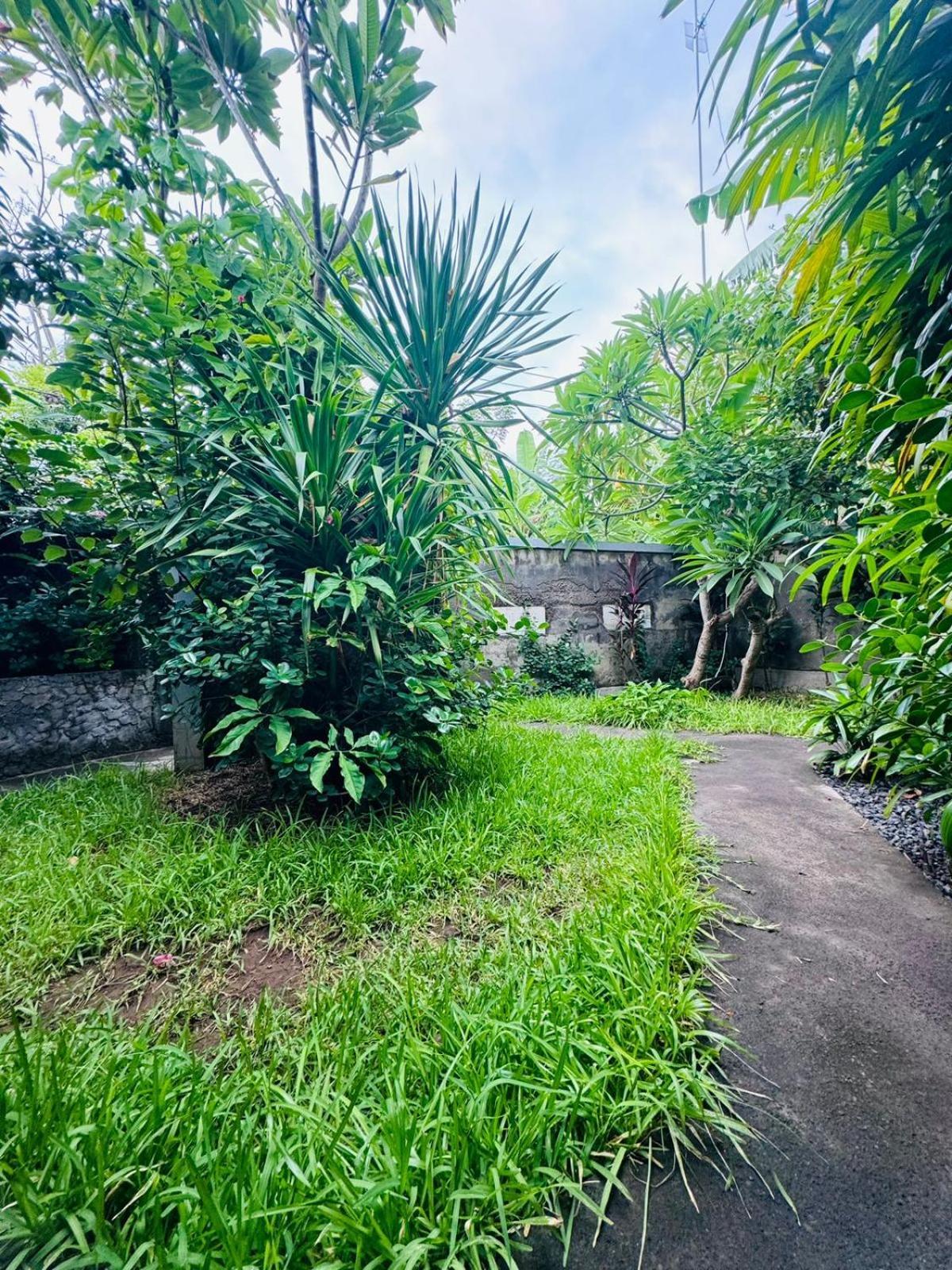Putu Guest House Pemuteran Exterior photo