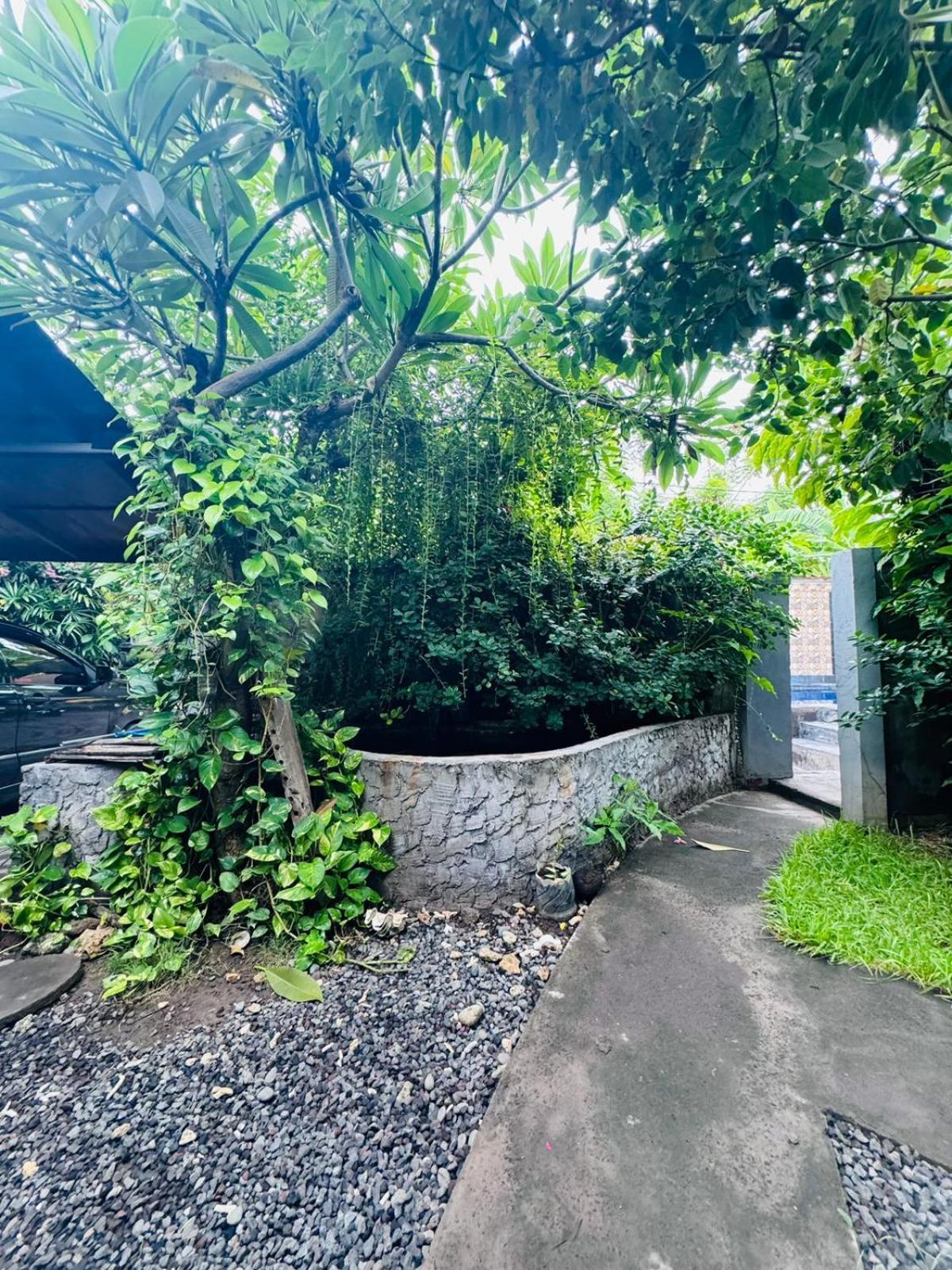 Putu Guest House Pemuteran Exterior photo